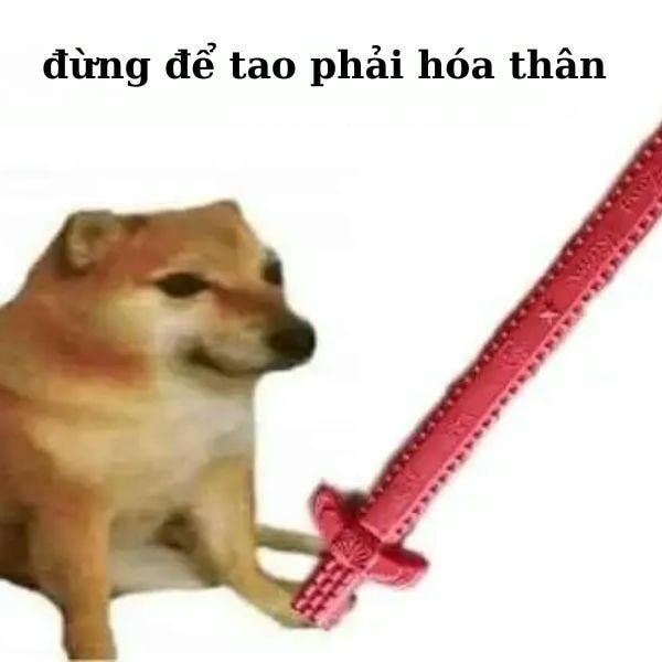 ảnh meme mèo cầm dao chế