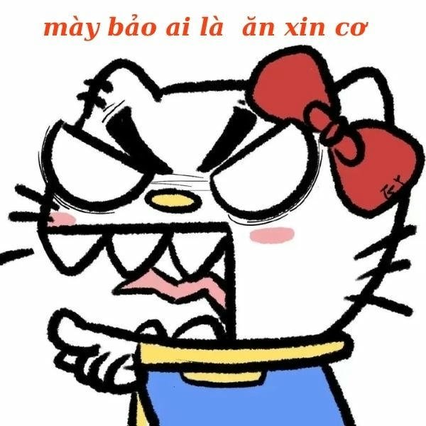 ảnh meme tức giận chế