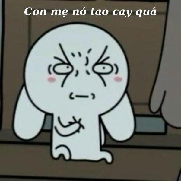 ảnh meme tức giận siêu bựa