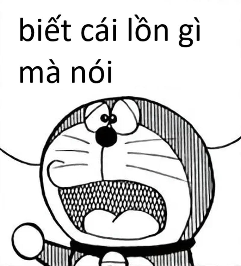 biết cái lồn gì mà nói