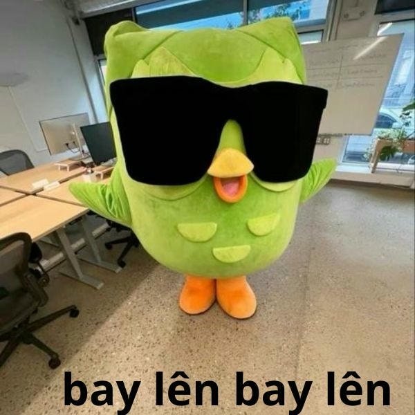 duolingo meme bay lên