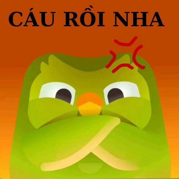 duolingo meme cáu