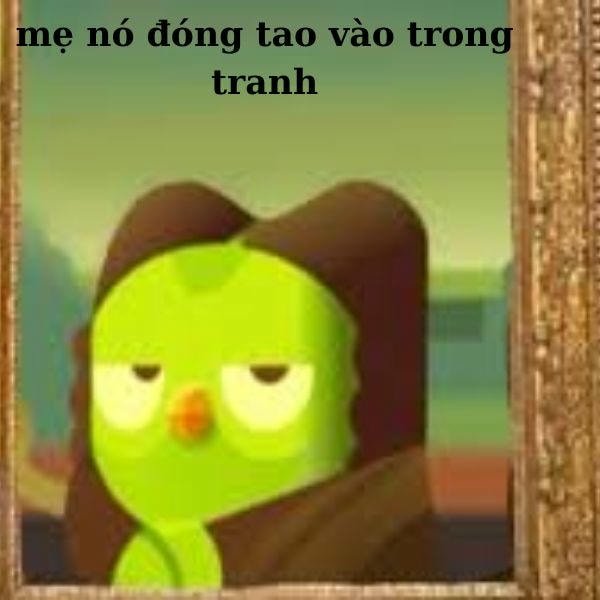 duolingo meme chửi