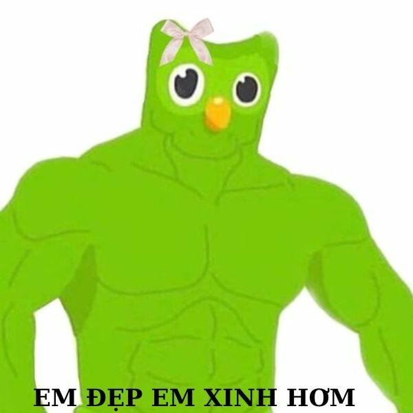 duolingo meme cơ bắp