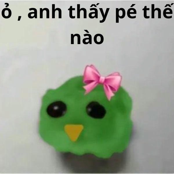 duolingo meme đeo nơ