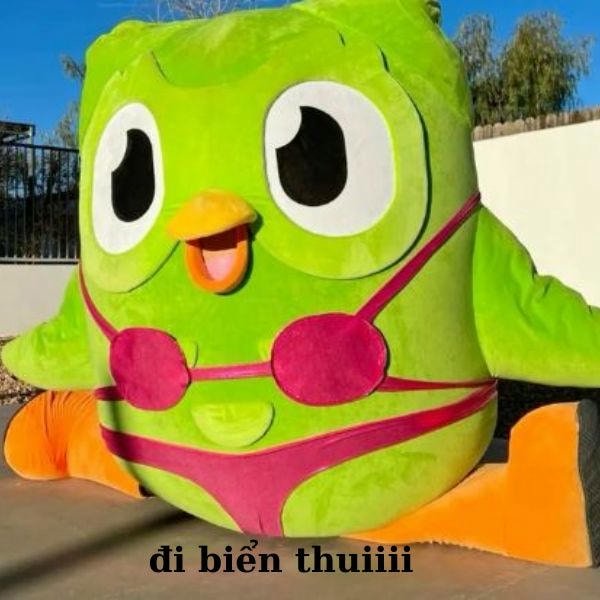 duolingo meme đi biển