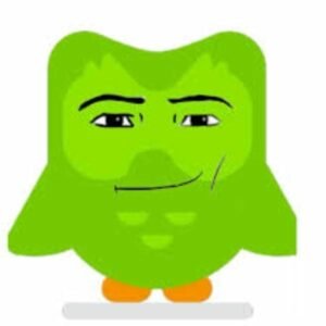 duolingo meme mặt to