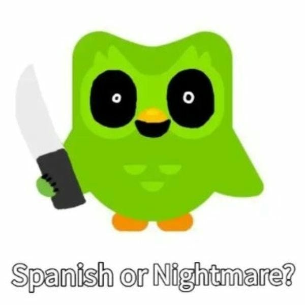 duolingo meme mắt to