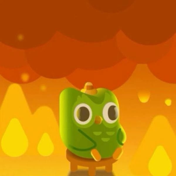 duolingo meme mini