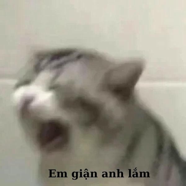 em giận anh lắm rồi