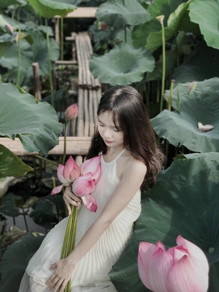 gái xinh đầm sen dễ thương