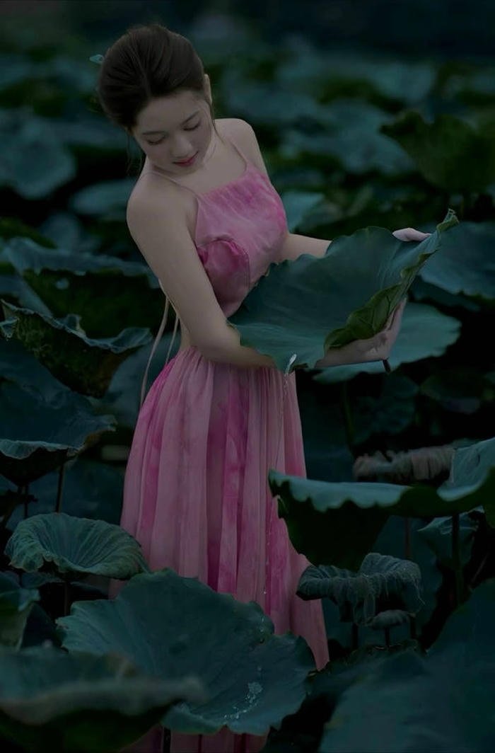 gái xinh đầm sen đẹp