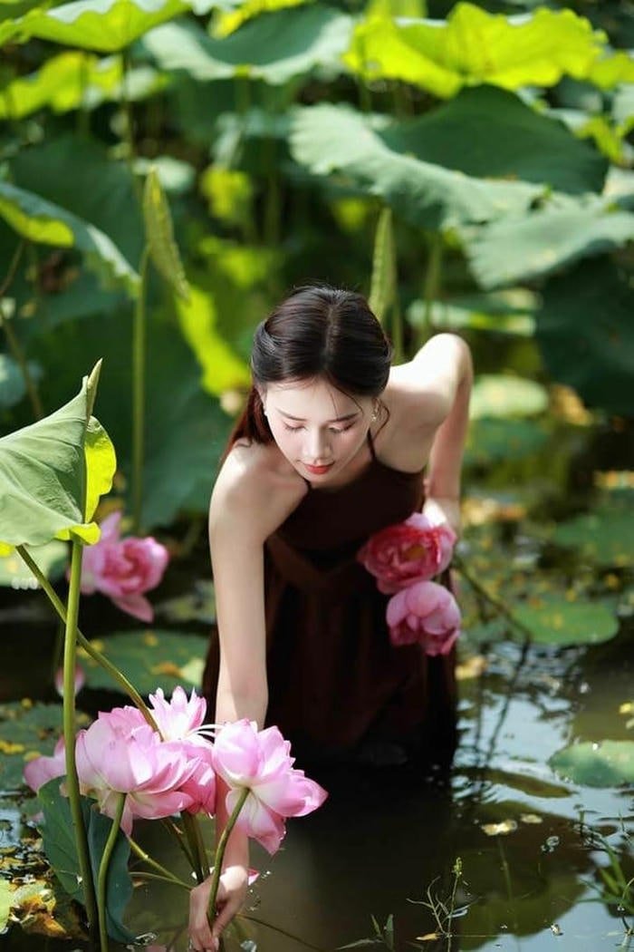 gái xinh đầm sen nhẹ nhàng