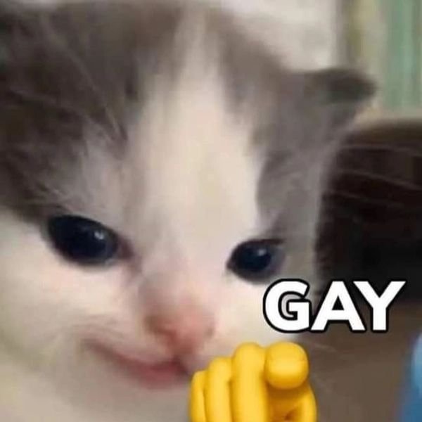 gay meme chỉ tay