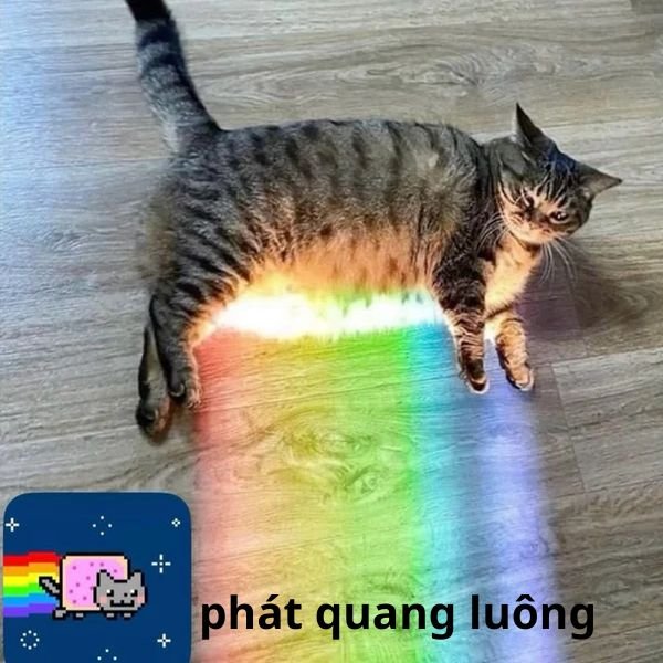 gay meme phát quang