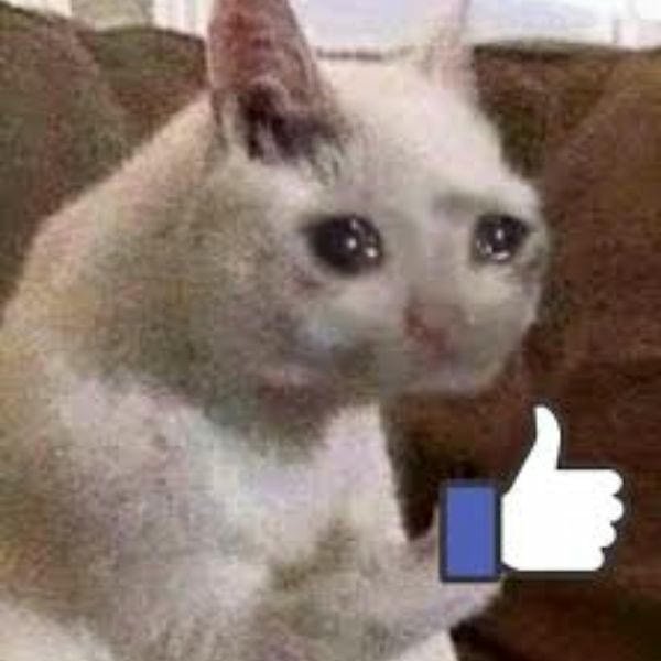 hình ảnh meme like siêu bựa