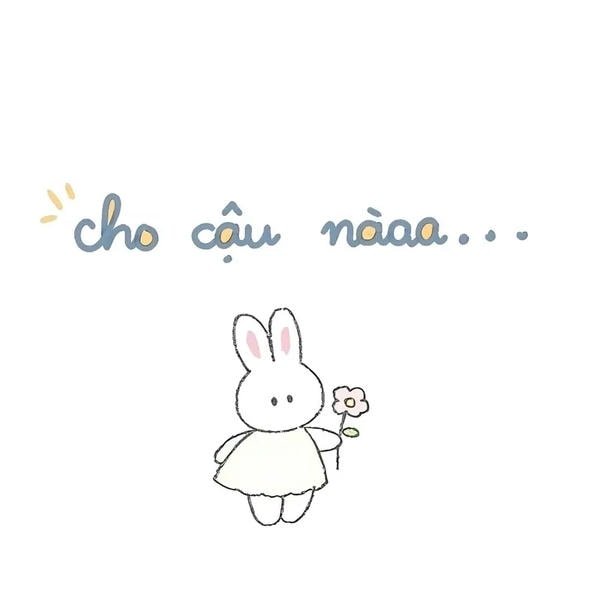 hình ảnh meme tặng hoa đẹp