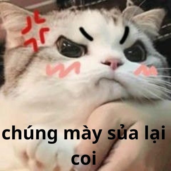 hình ảnh meme tức giận chế