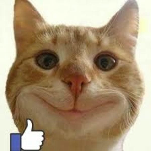 hình meme like siêu hài