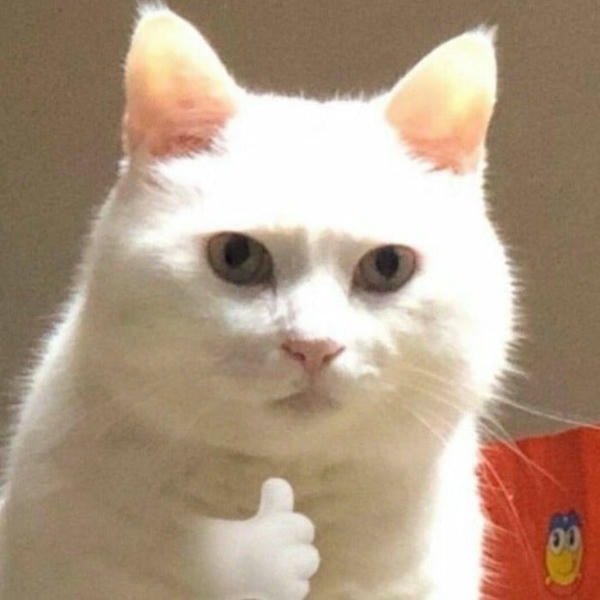 like meme cọc tính