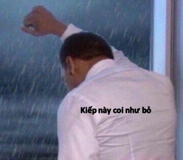 meme bất lực 13