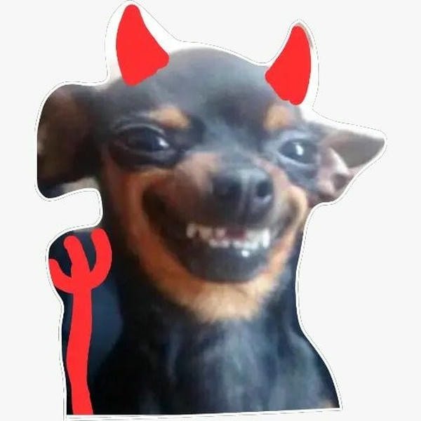 meme chó cười biến thái