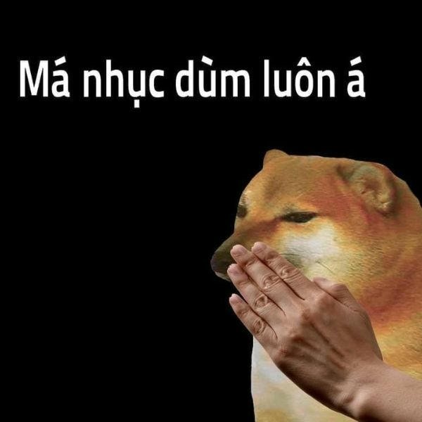meme chó hài