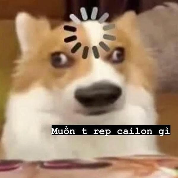 meme chó lag