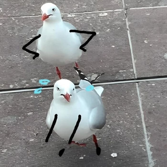 meme chống nạnh biểu cảm hài