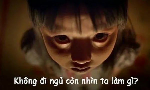 meme chúc ngủ ngon hài