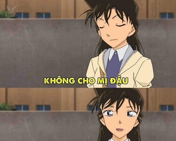 meme conan mới