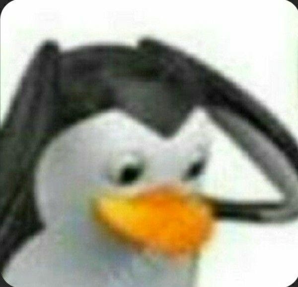 meme dỗi chim cánh cụt