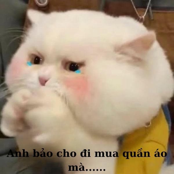 meme dỗi đáng iu