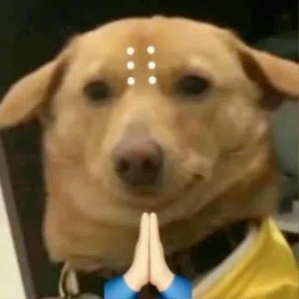 meme dỗi đến lỗi đi tu