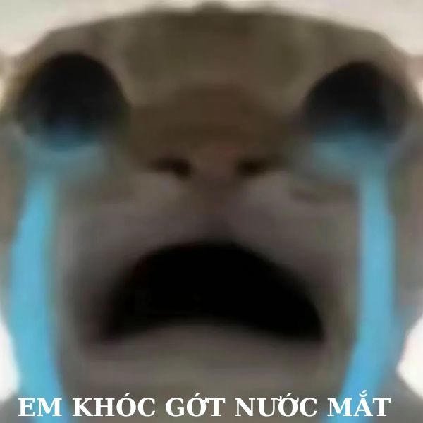 meme dỗi khóc thành sông