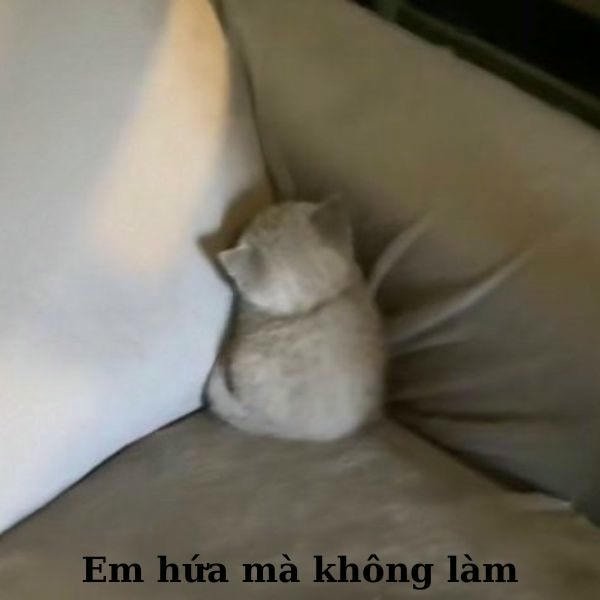 meme dỗi quá đi à