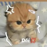 meme dỗi và tức