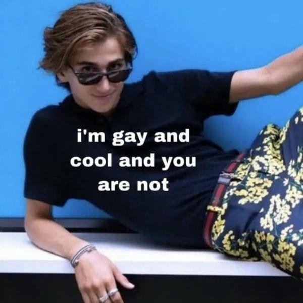 meme gay quote