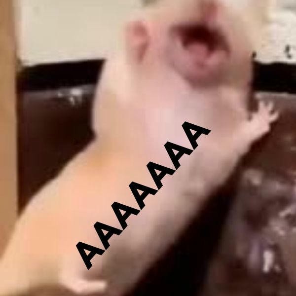 meme hamster aa