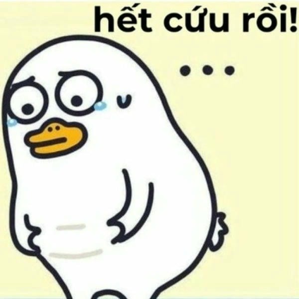 meme hết cứu 13