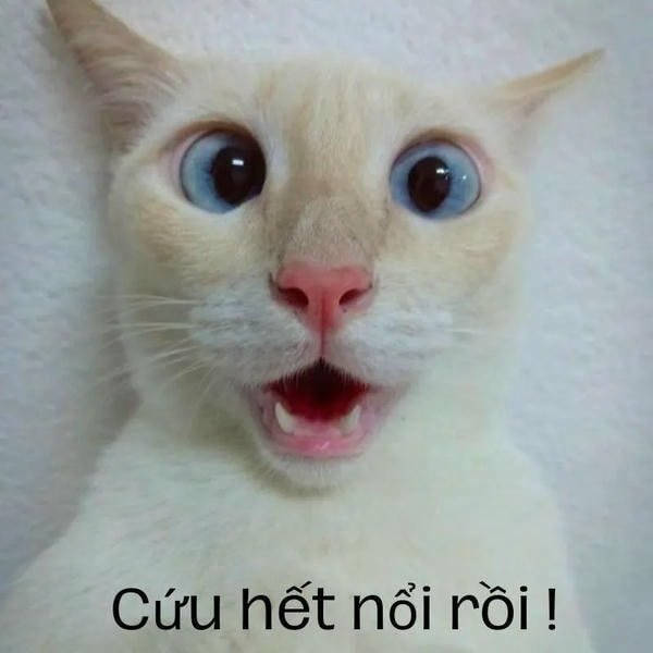 meme hết cứu 3