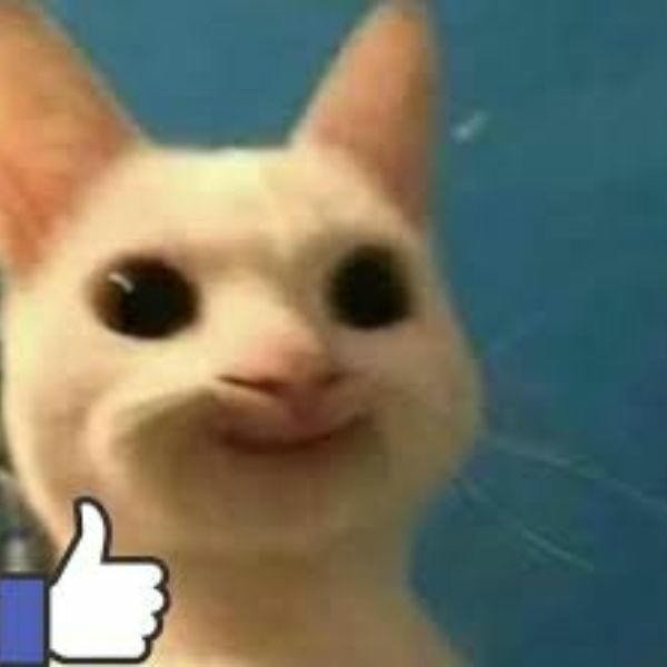 meme like hài hước