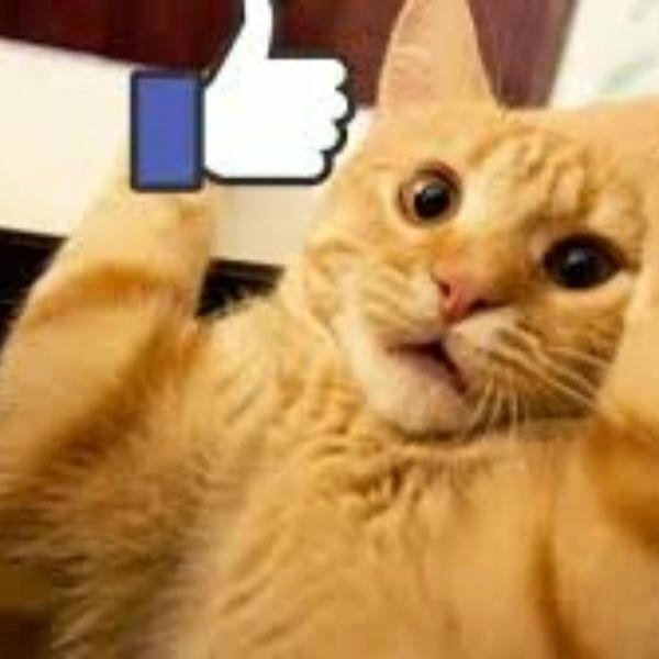 meme like siêu hài