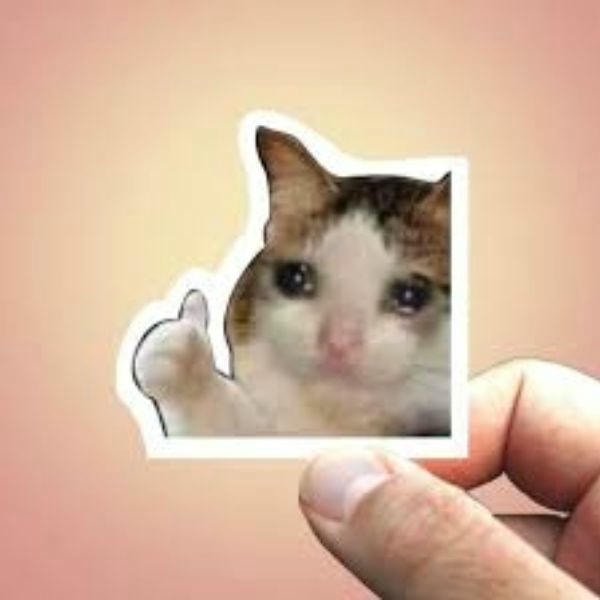 meme like troll team