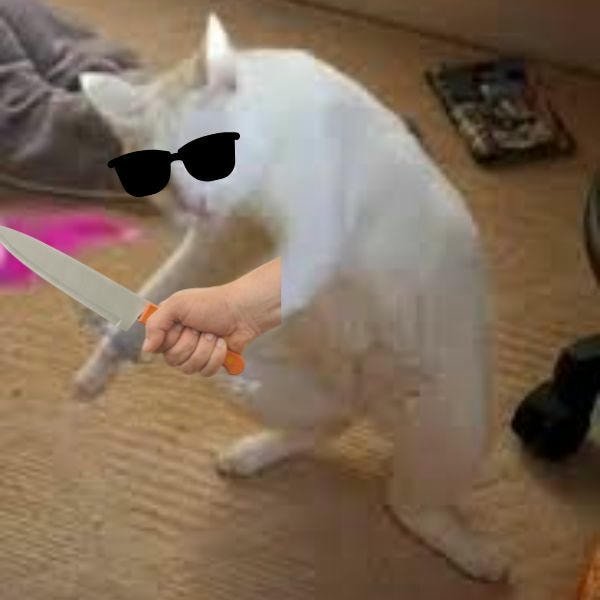 meme mèo cầm dao troll