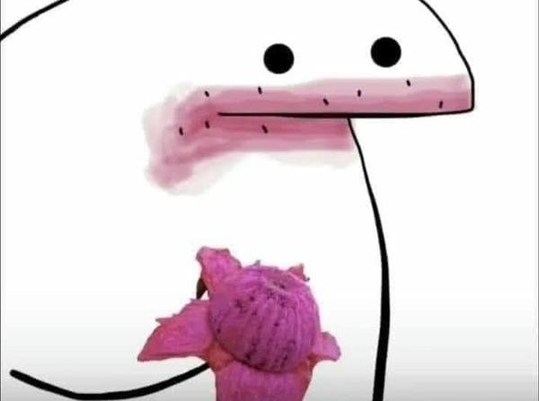 meme người que hoa