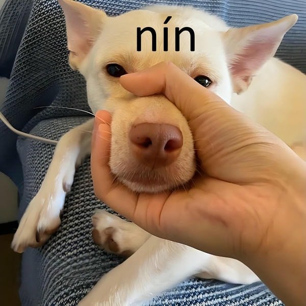 meme nín