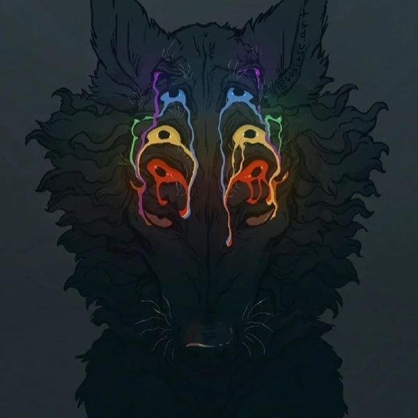 meme sói cô độc 6 mắt