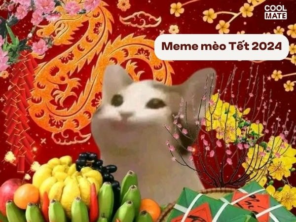 meme tết 11
