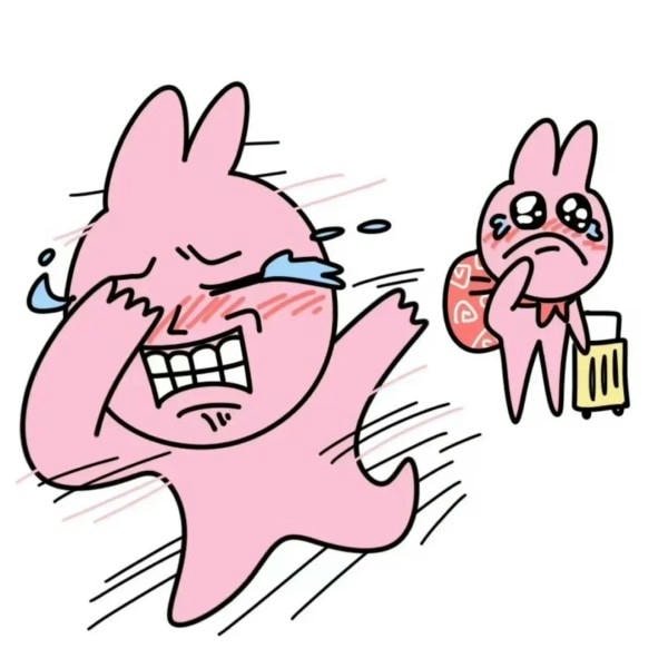 meme thỏ hồng dỗi